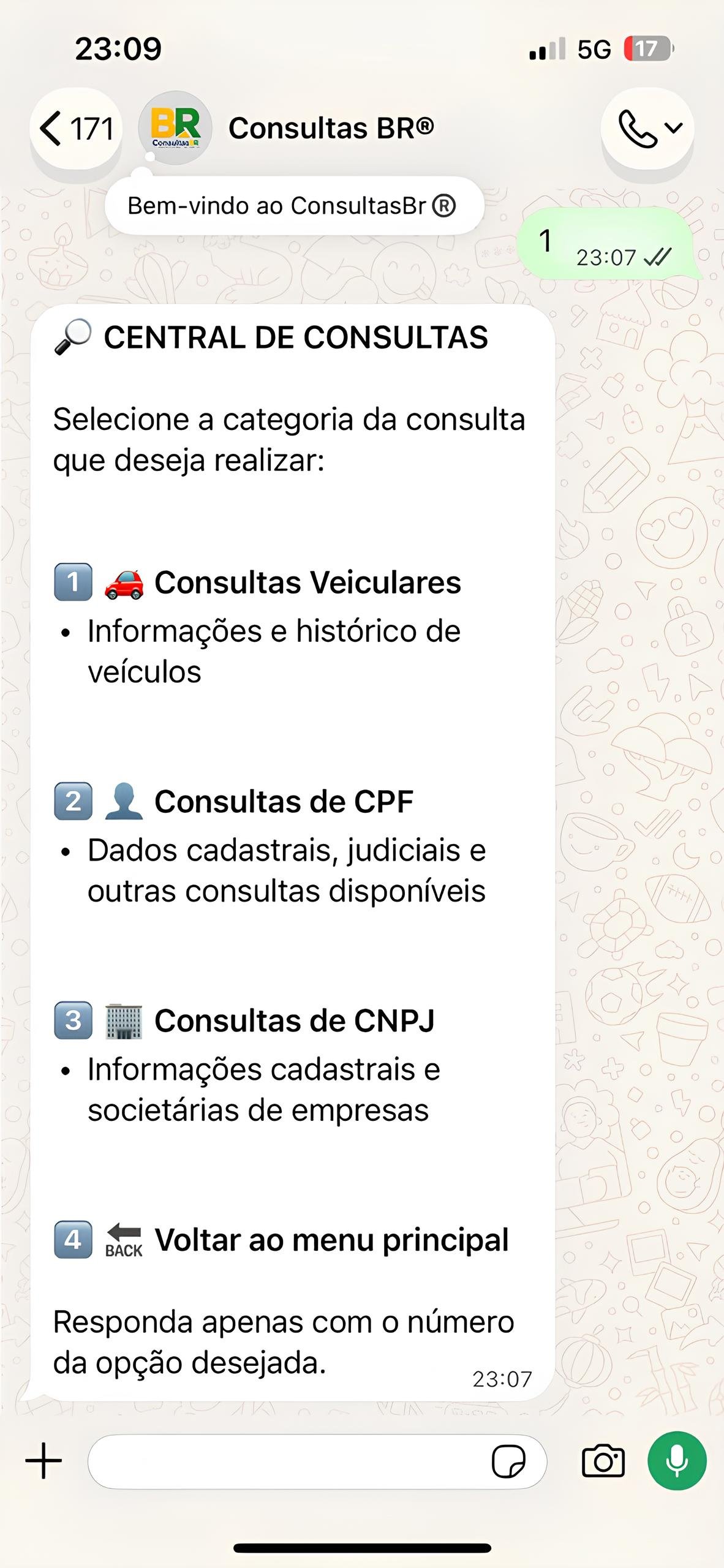 Relatórios informativos da ConsultasBR no WhatsApp